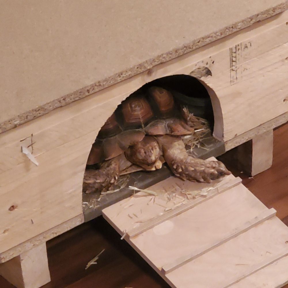 Meet your Posher, James